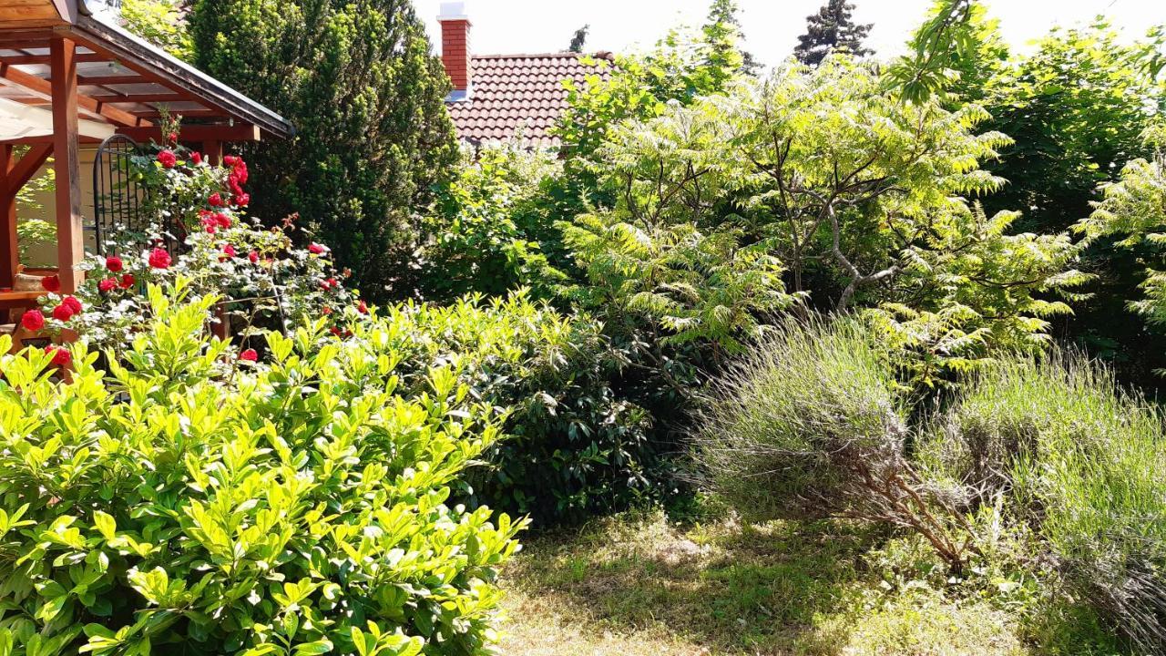 Szalakota Haz Villa Balatongyörök Dış mekan fotoğraf