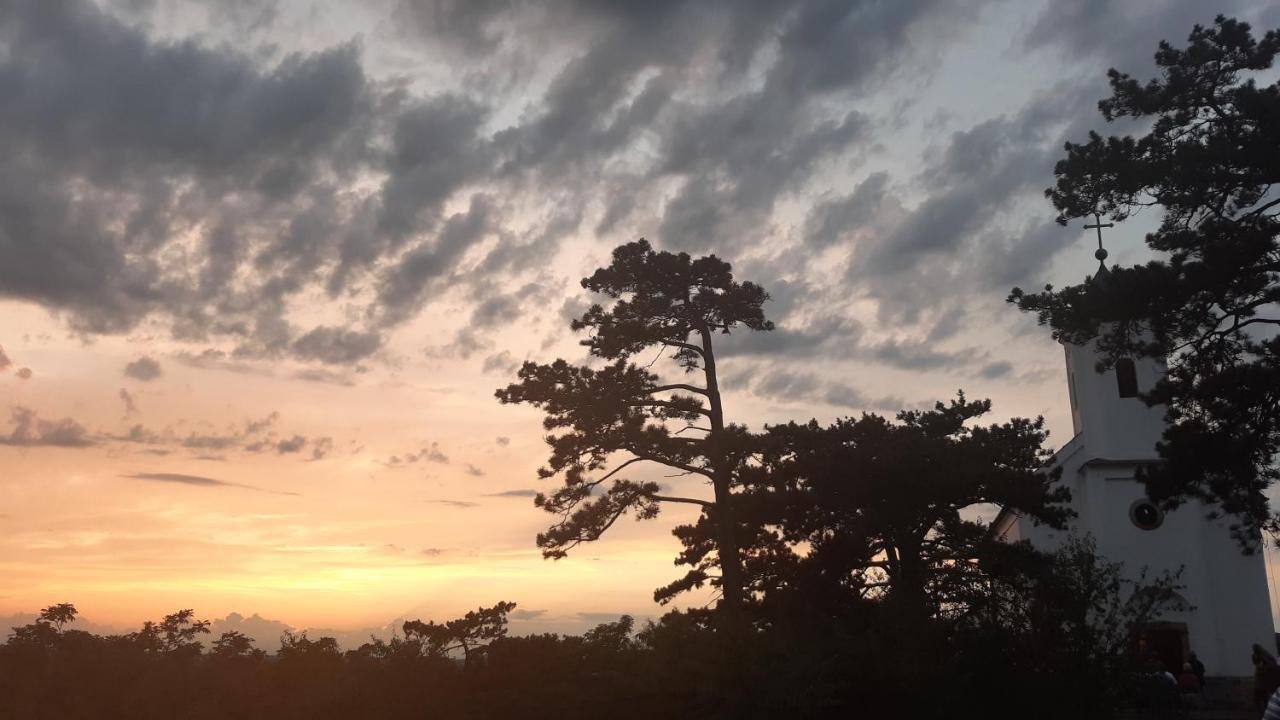 Szalakota Haz Villa Balatongyörök Dış mekan fotoğraf